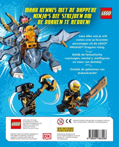 Dragons Rising: De drakenstrijd: wie is wie?