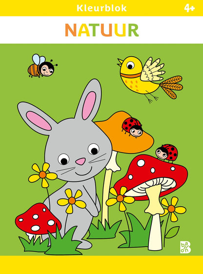 Standaard Uitgeverij - Kleurblok Natuur 4+