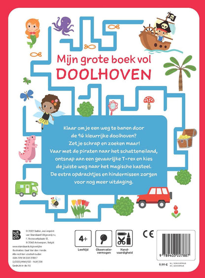 Standaard Uitgeverij - Mijn grote boek vol doolhoven