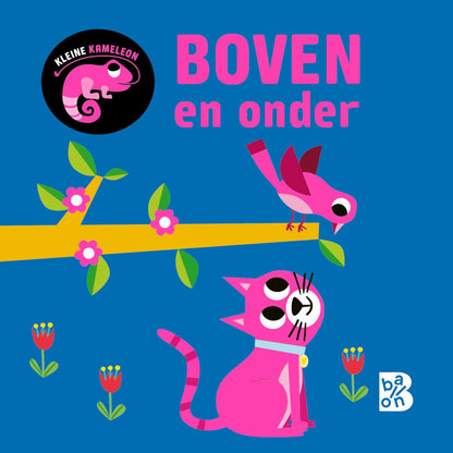 Standaard Uitgeverij - Kleine Kameleon - Boven en Onder 12m+