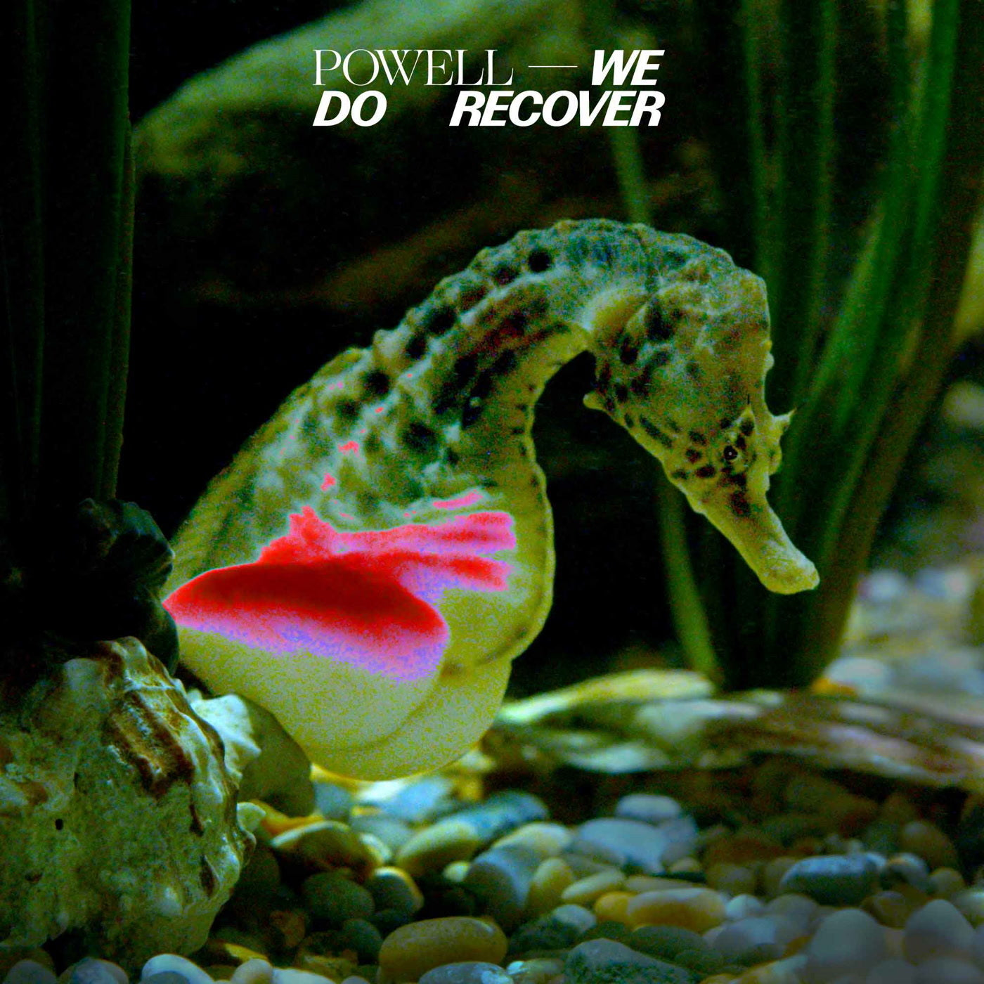We Do Recover