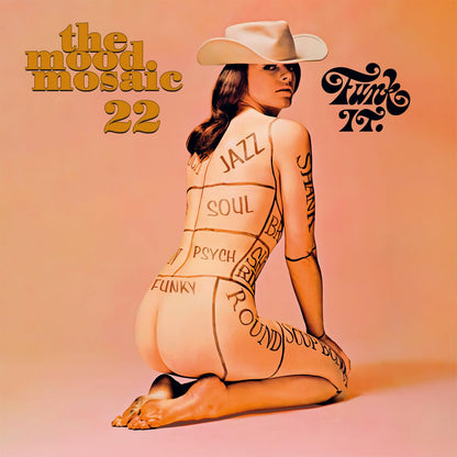 Vinile Mood Mosaic 22 (The) / Various (2 Lp