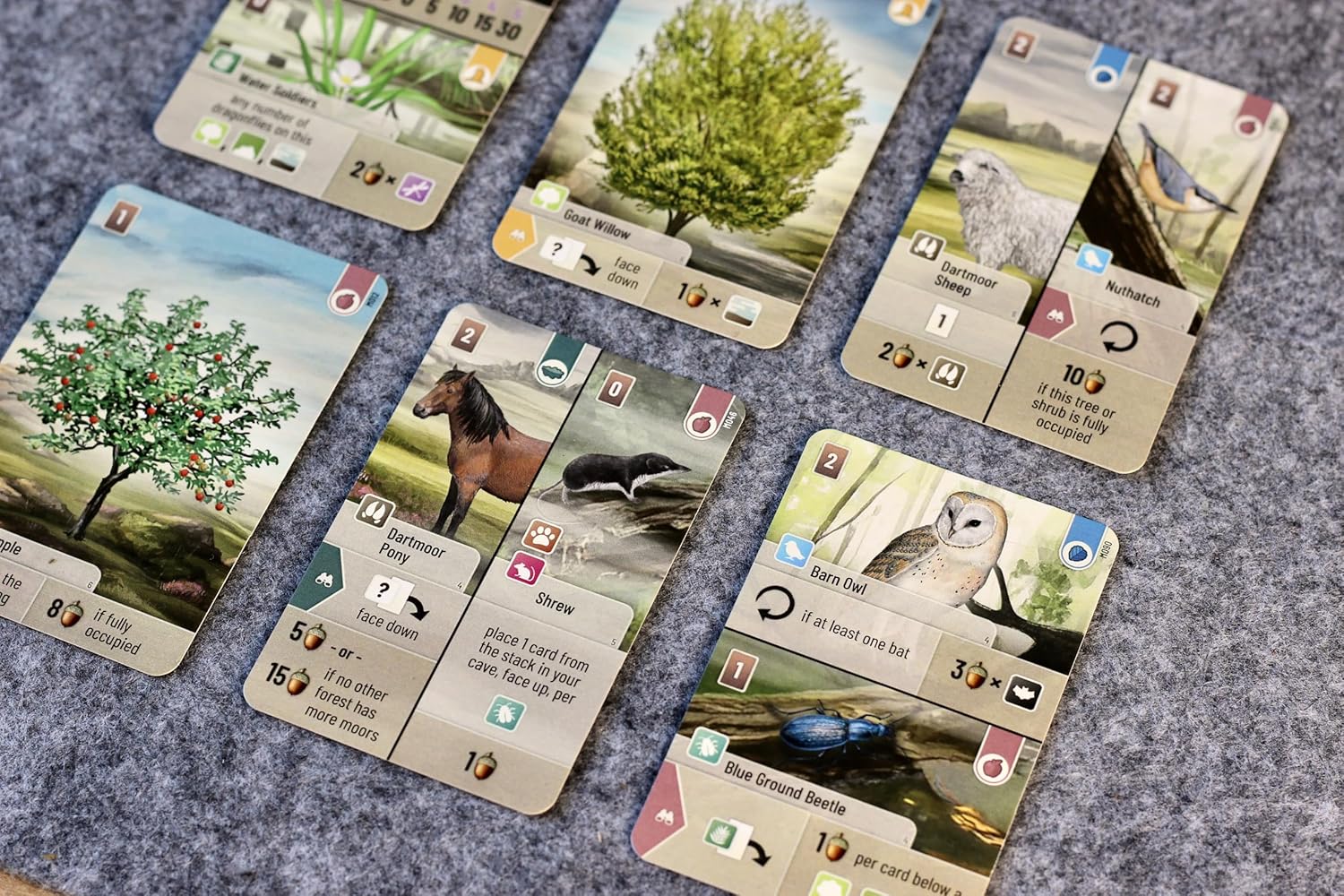Asmodee | Forest Shuffle Dartmoor | Family Card Game | Ages 10+ | 2-5 Players | 60 Minutes Playing Time