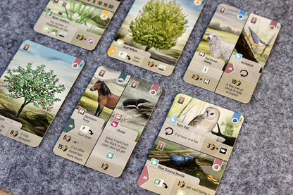 Asmodee | Forest Shuffle Dartmoor | Family Card Game | Ages 10+ | 2-5 Players | 60 Minutes Playing Time