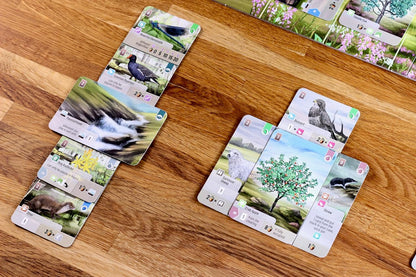 Asmodee | Forest Shuffle Dartmoor | Family Card Game | Ages 10+ | 2-5 Players | 60 Minutes Playing Time