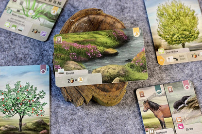 Asmodee | Forest Shuffle Dartmoor | Family Card Game | Ages 10+ | 2-5 Players | 60 Minutes Playing Time