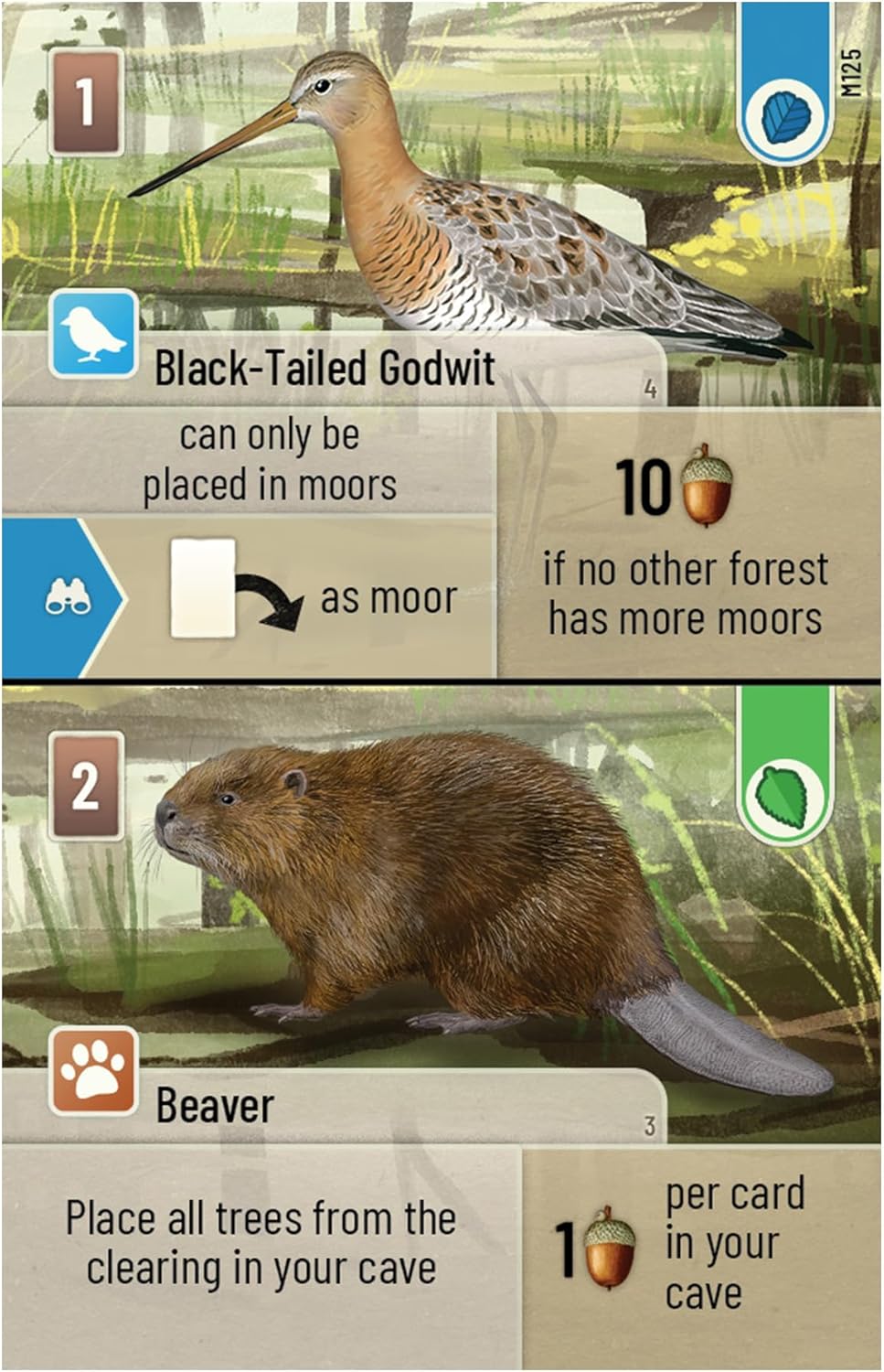 Asmodee | Forest Shuffle Dartmoor | Family Card Game | Ages 10+ | 2-5 Players | 60 Minutes Playing Time
