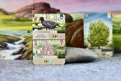 Asmodee | Forest Shuffle Dartmoor | Family Card Game | Ages 10+ | 2-5 Players | 60 Minutes Playing Time