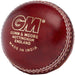 GM Catalyst Cricket Ball (Junior)