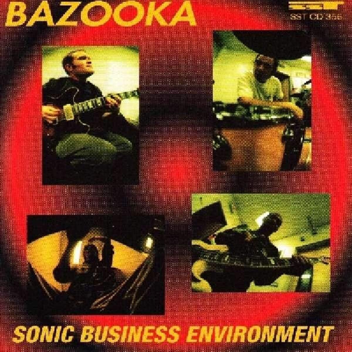 Sonic Business Environment
