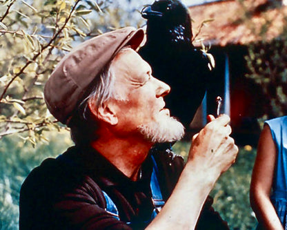 Ferien auf der Kräheninsel / Die komplette 13-teilige Kultserie von Astrid Lindgren (Pidax Serien-Klassiker)