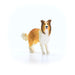 SCHLEICH Farm World - 13998-3" Realistic Collie Figurine - Durable Dog Figure for Children - Farm Animal Toys for Boy and Girls - Educational Toys For Toddlers and Kids Ages 3+
