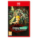 Hyrule Warriors: Age of Imprisonment Standard