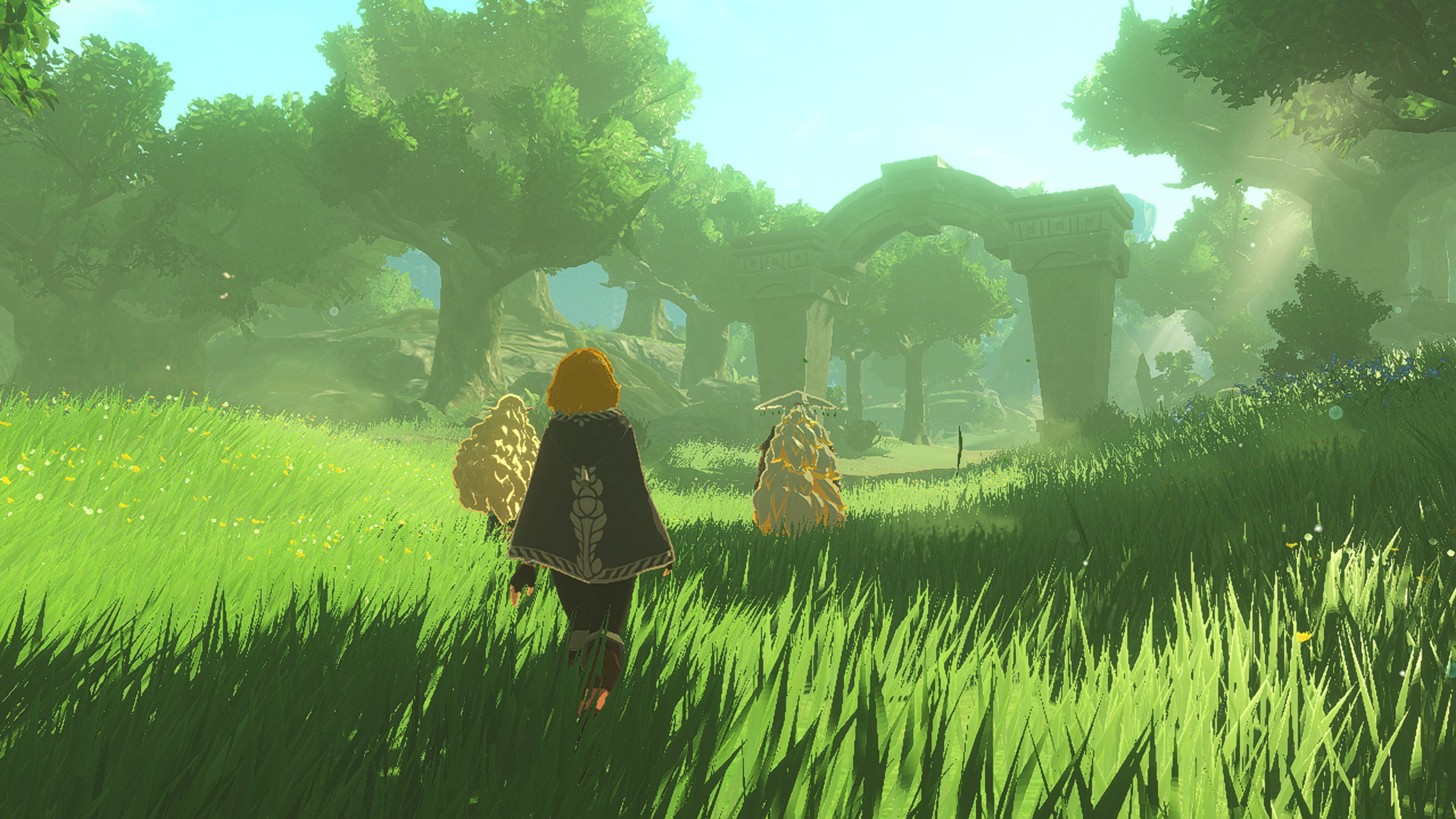 Hyrule Warriors: Age of Imprisonment Standard