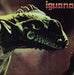 iguana
