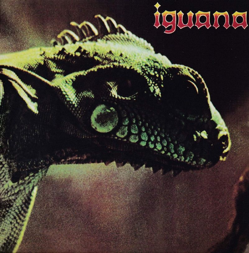 iguana