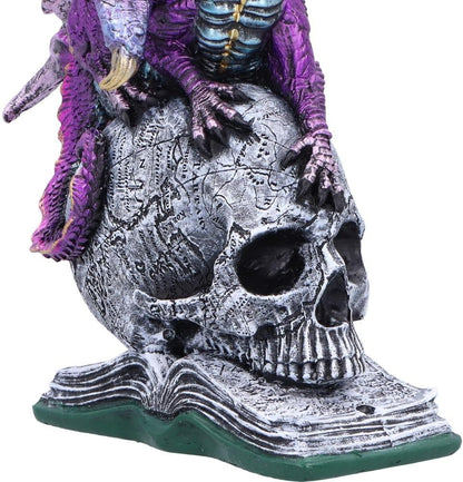 Nemesis Now Resin Dragon Statue - Hand-Painted Dragon Figure Perched on a Metallic Skull and Book - Gifts & Decor for Fantasy Lovers - Titans Reign
