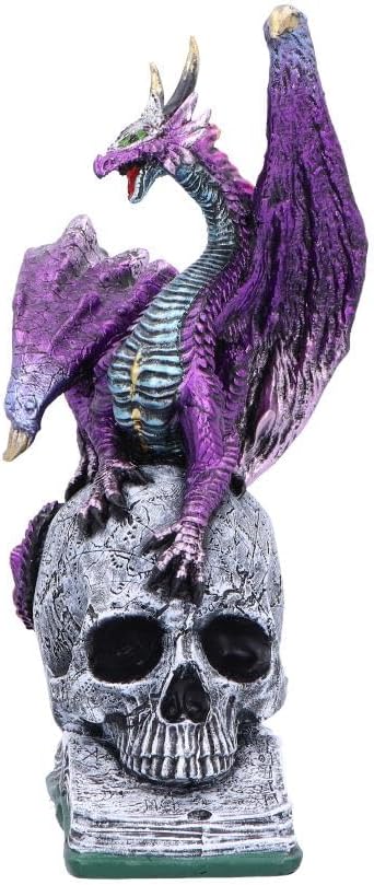 Nemesis Now Resin Dragon Statue - Hand-Painted Dragon Figure Perched on a Metallic Skull and Book - Gifts & Decor for Fantasy Lovers - Titans Reign