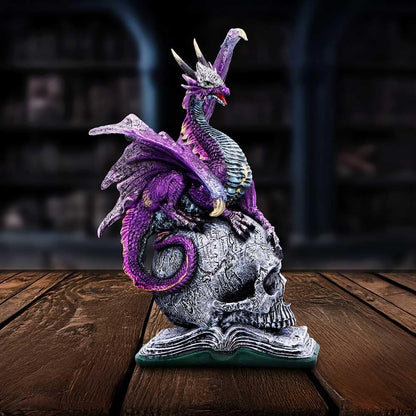 Nemesis Now Resin Dragon Statue - Hand-Painted Dragon Figure Perched on a Metallic Skull and Book - Gifts & Decor for Fantasy Lovers - Titans Reign