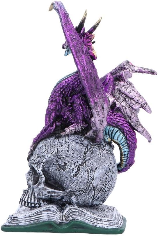 Nemesis Now Resin Dragon Statue - Hand-Painted Dragon Figure Perched on a Metallic Skull and Book - Gifts & Decor for Fantasy Lovers - Titans Reign