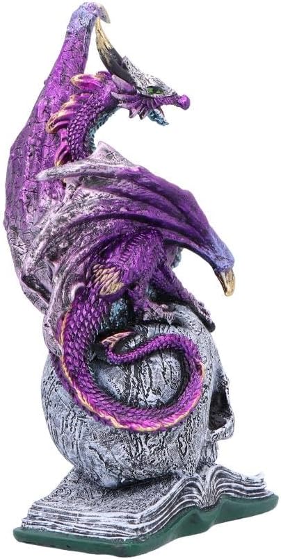 Nemesis Now Resin Dragon Statue - Hand-Painted Dragon Figure Perched on a Metallic Skull and Book - Gifts & Decor for Fantasy Lovers - Titans Reign