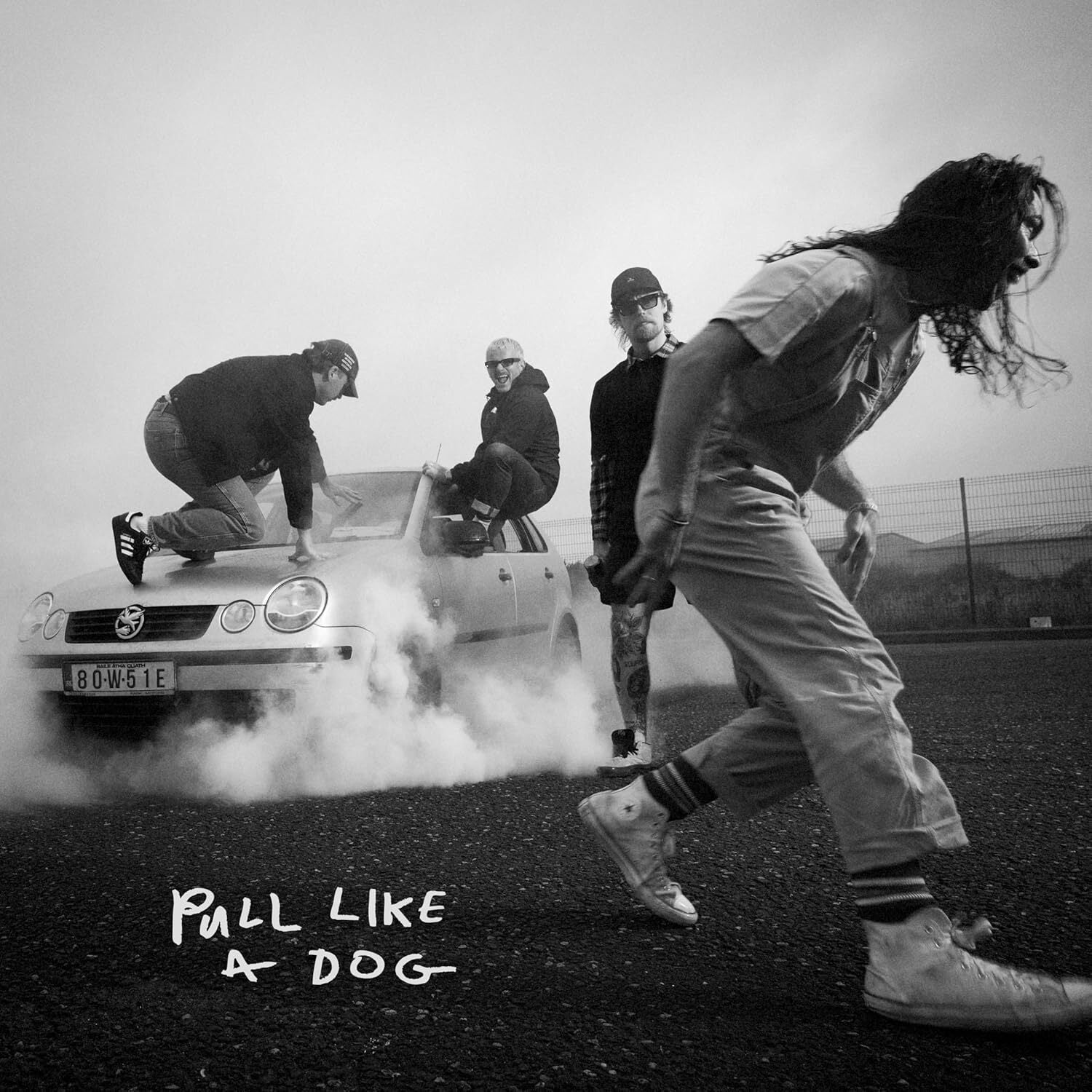 Pull Like a Dog