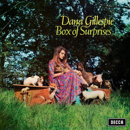 Box of Surprises (RSD 2025)