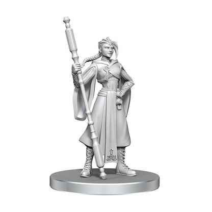 Critical Role Unpainted Miniatures | Tabletop RPG Figures | Wave 26 (Beauregard Lionett & Caleb Widogast