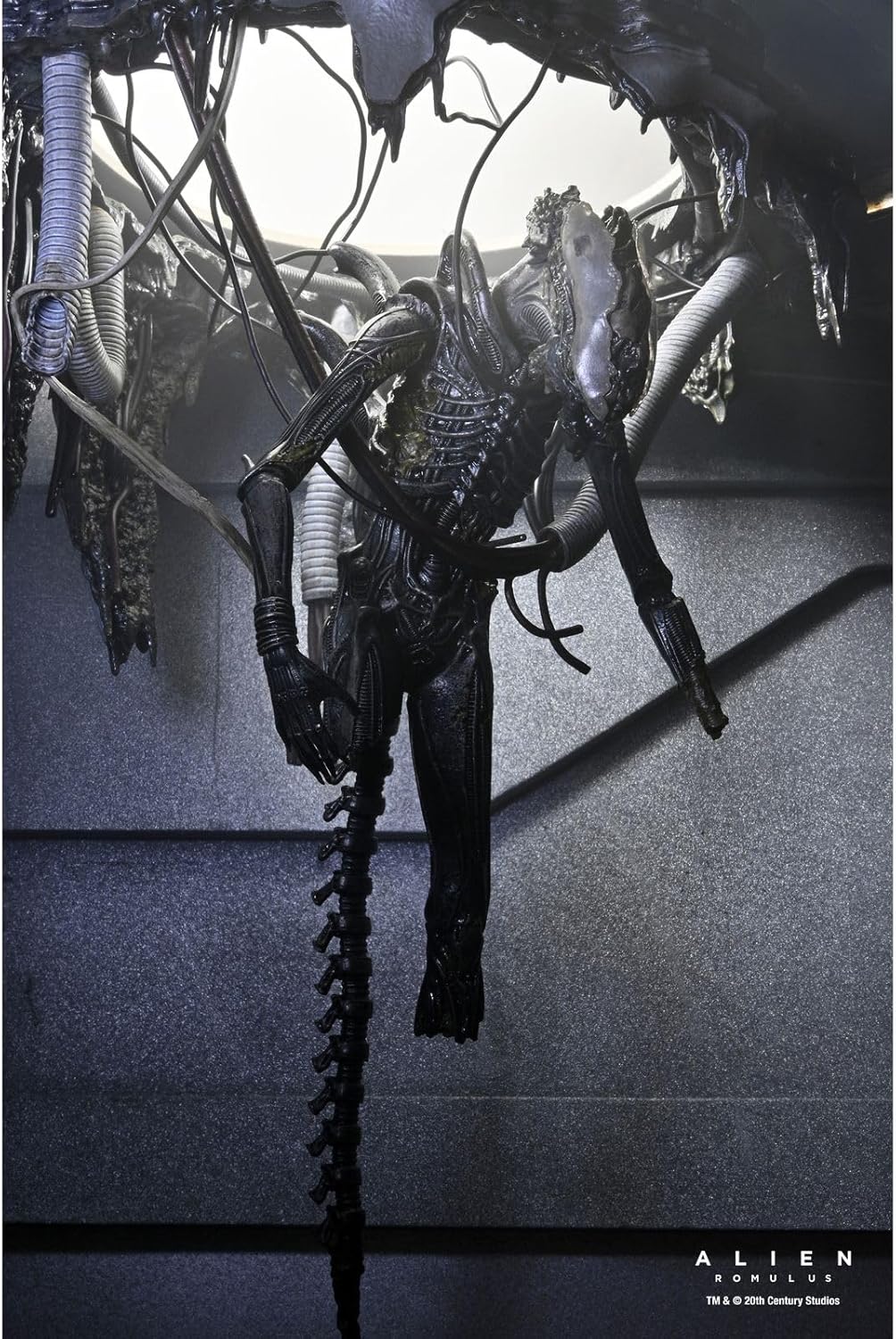 Neca Deluxe Suspended Lab Xenomorph xx121 Scale Action Figure 18cm Alien Romulus