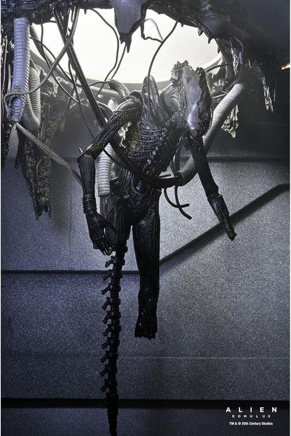 Neca Deluxe Suspended Lab Xenomorph xx121 Scale Action Figure 18cm Alien Romulus