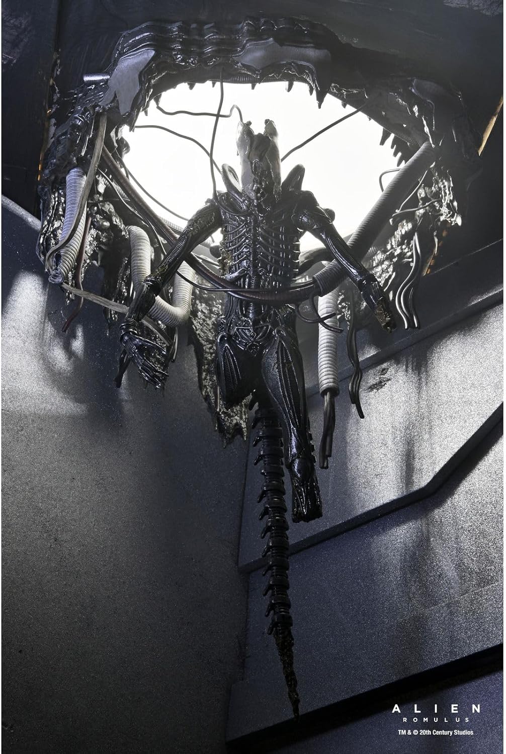 Neca Deluxe Suspended Lab Xenomorph xx121 Scale Action Figure 18cm Alien Romulus