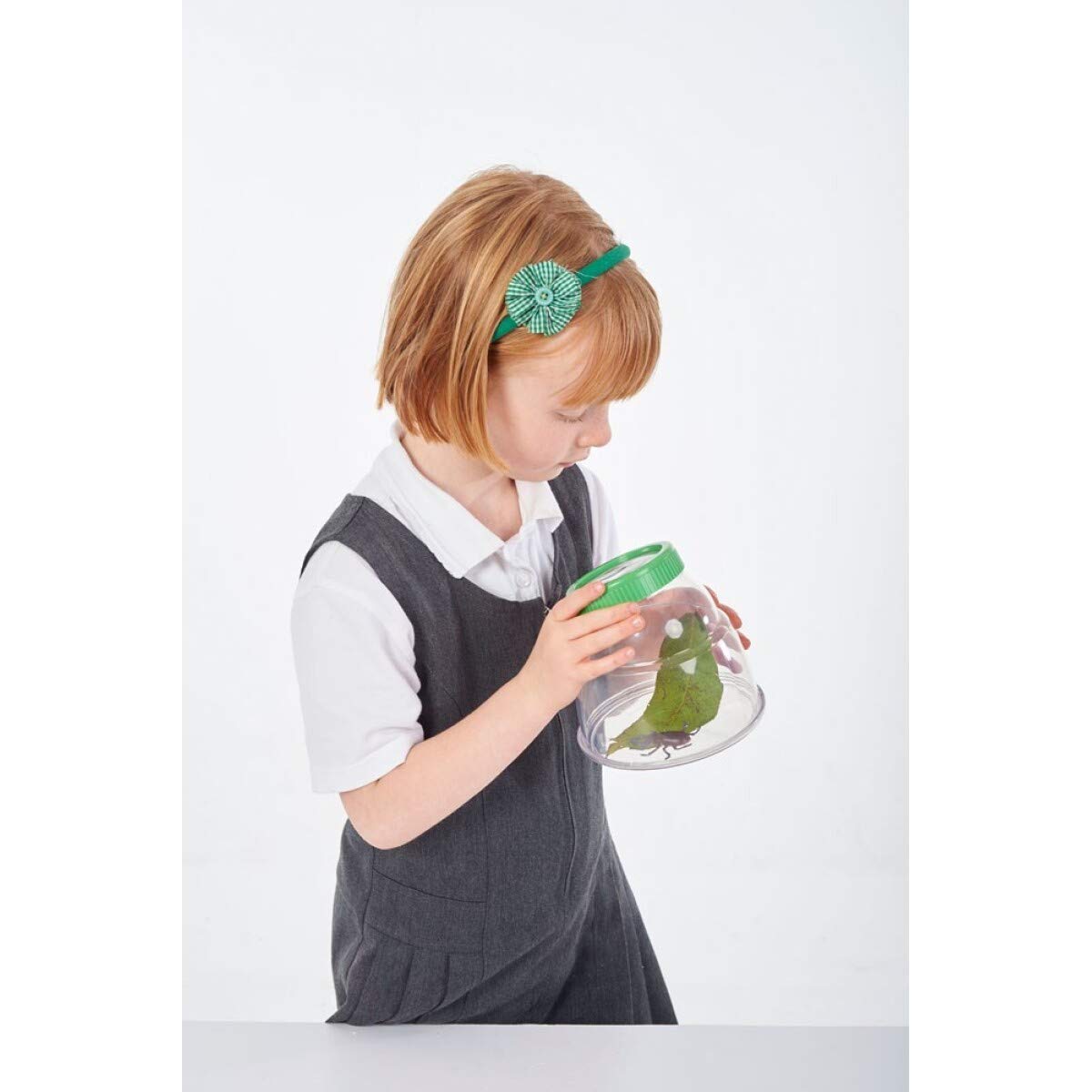 Edu Science Grote Insecten Viewer
