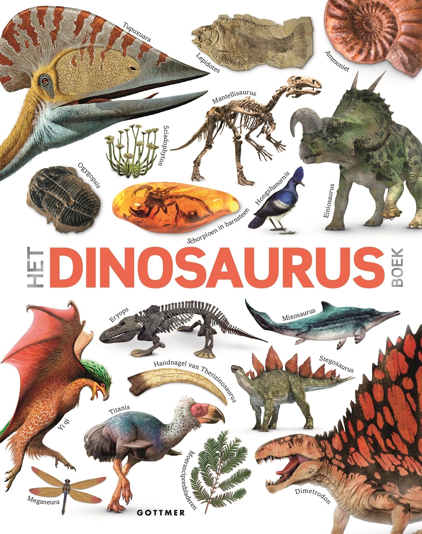 Gottmer Uitgevers Groep - Het Dinosaurusboek