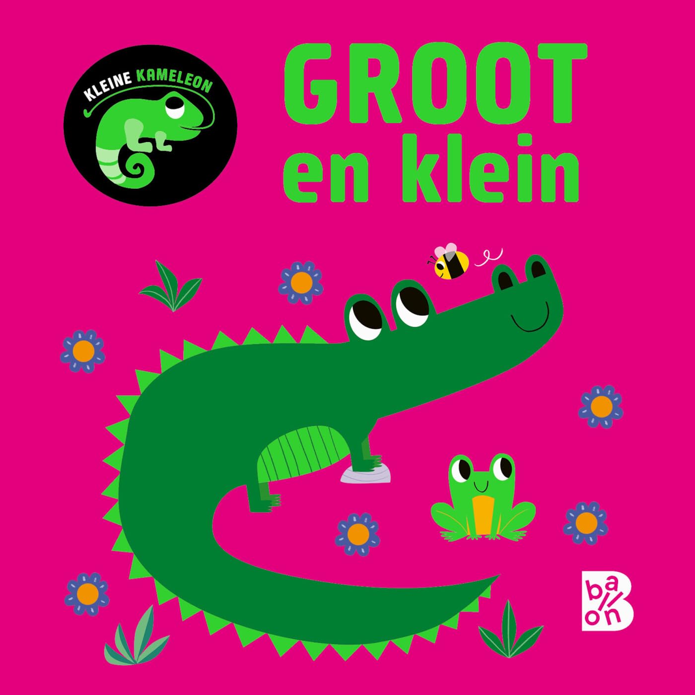 Standaard Uitgeverij - Kleine Kameleon - Groot en Klein 12m+