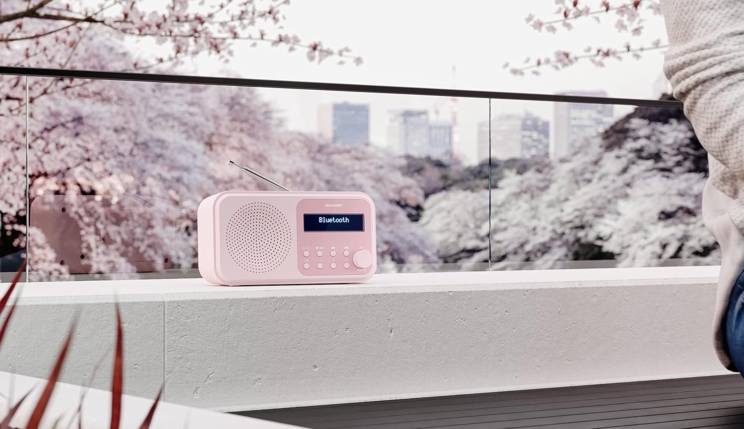 Radio Portatile Digitale Tokio Rosa