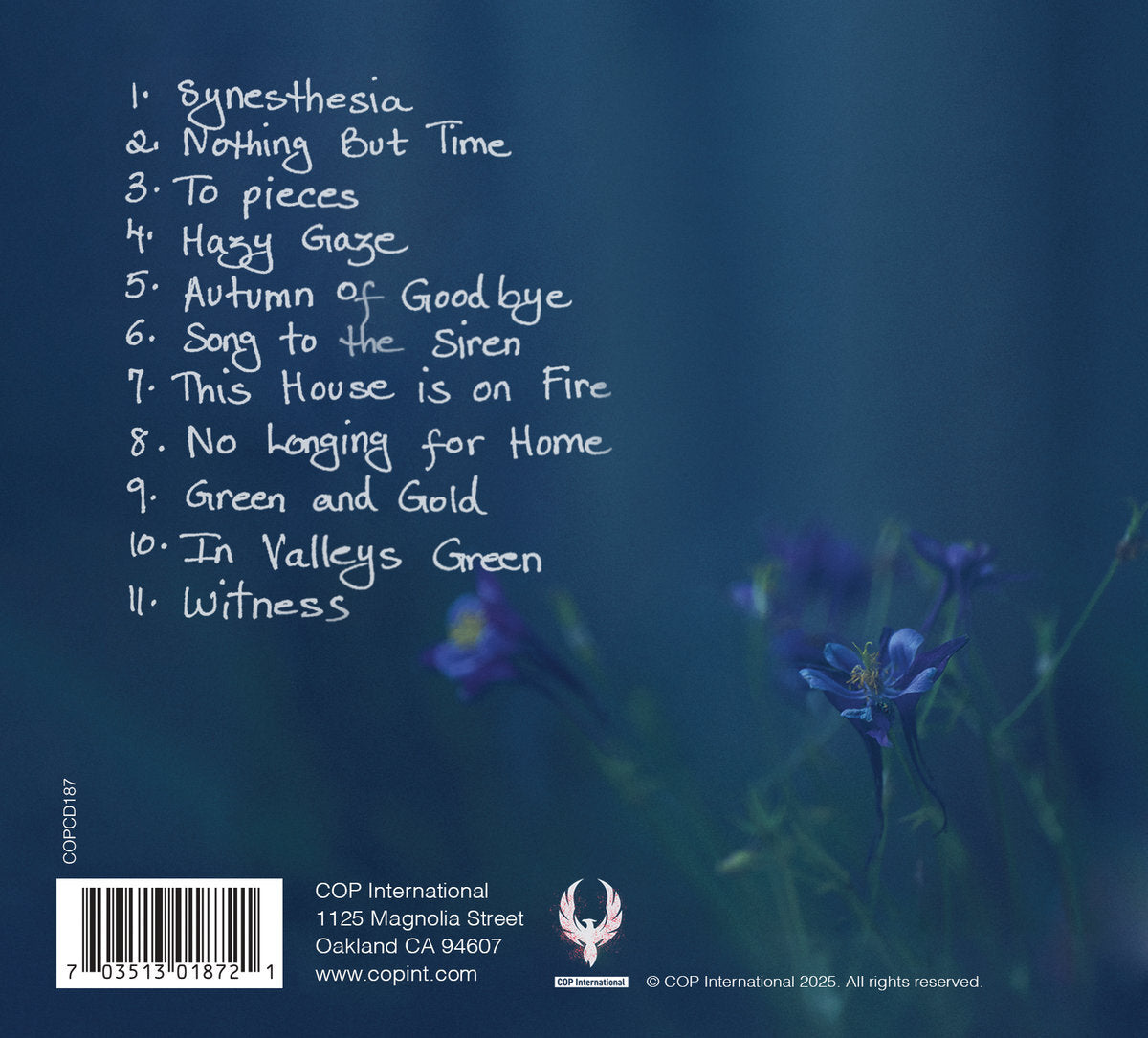 Synesthesia