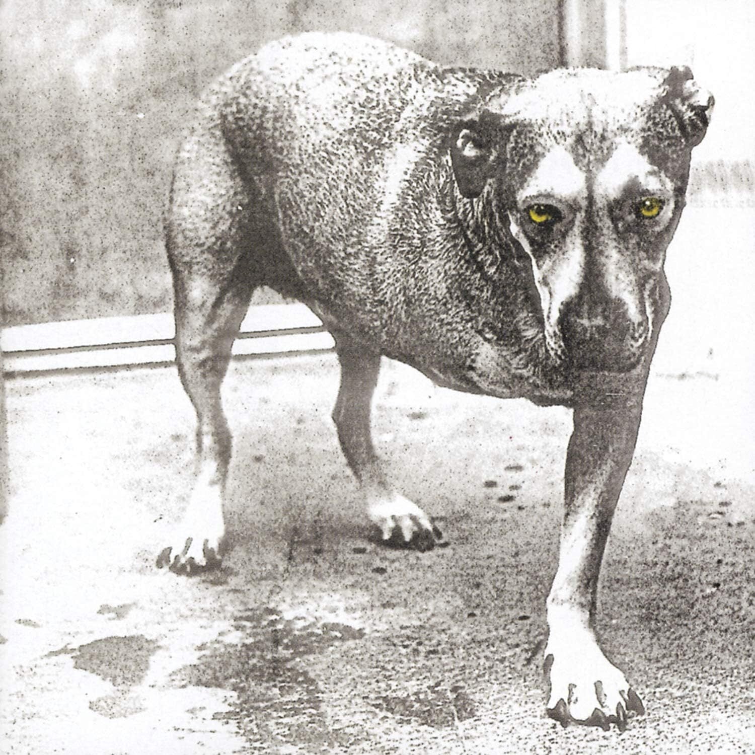 Alice in Chains (30th Anniversary)
