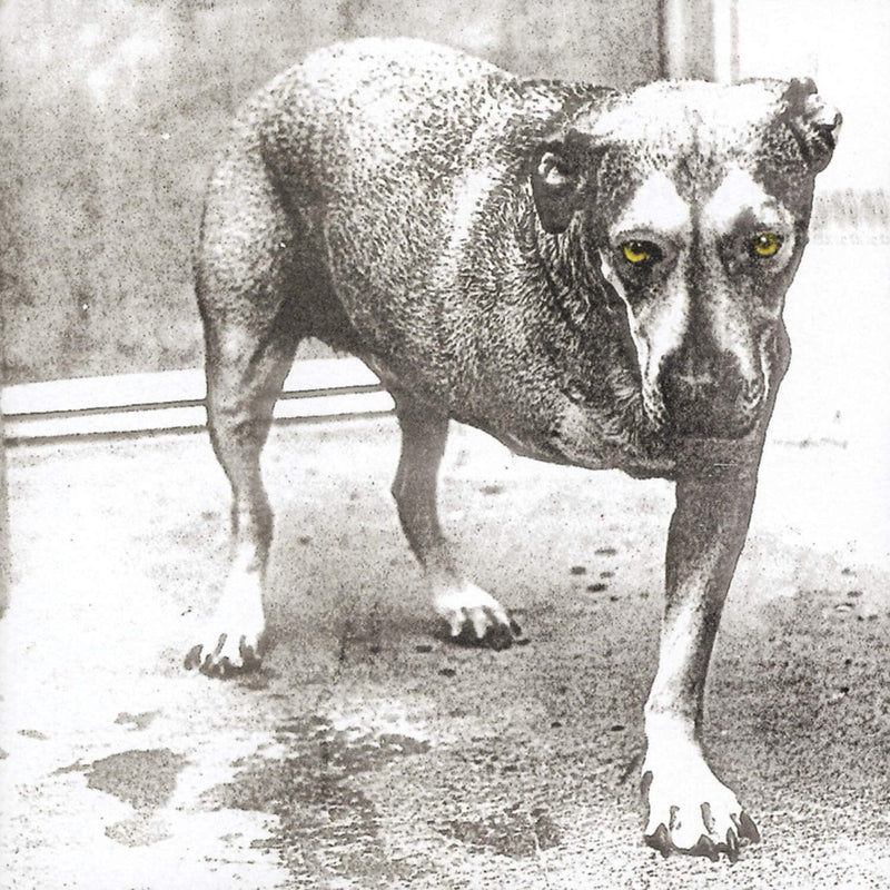 Alice in Chains (30th Anniversary)