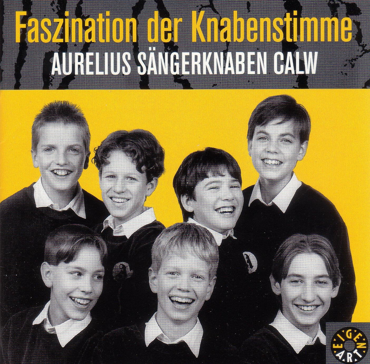 Faszination der Knabenstimme