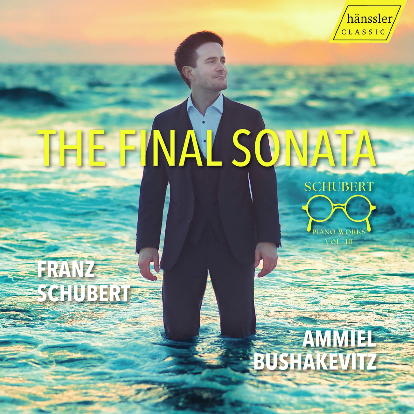 The Final Sonata - Schubert Vol.3
