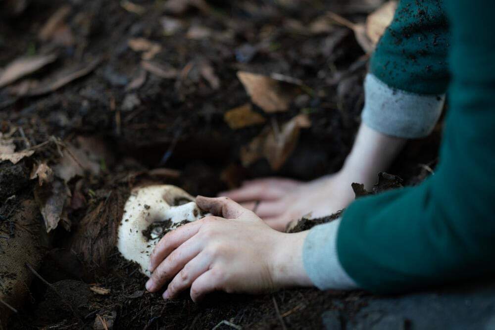 La Malediction De Brahms The Boy 2