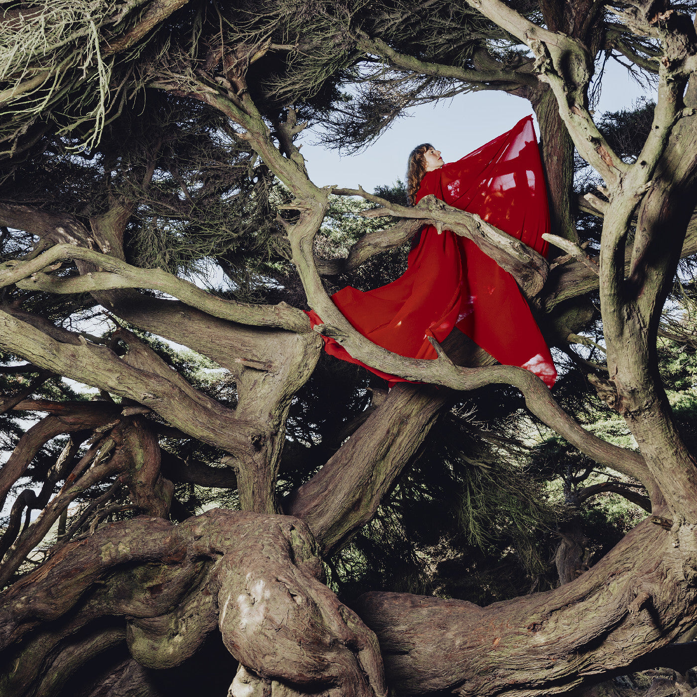 Nested in Tangles