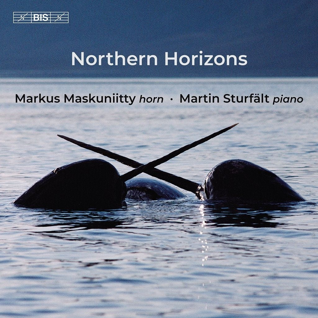 Markus Maskuniitty/Martin Sturfält: Northern Horizons