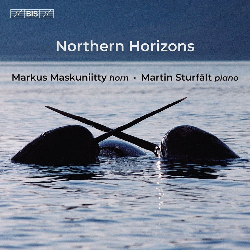 Markus Maskuniitty/Martin Sturfält: Northern Horizons