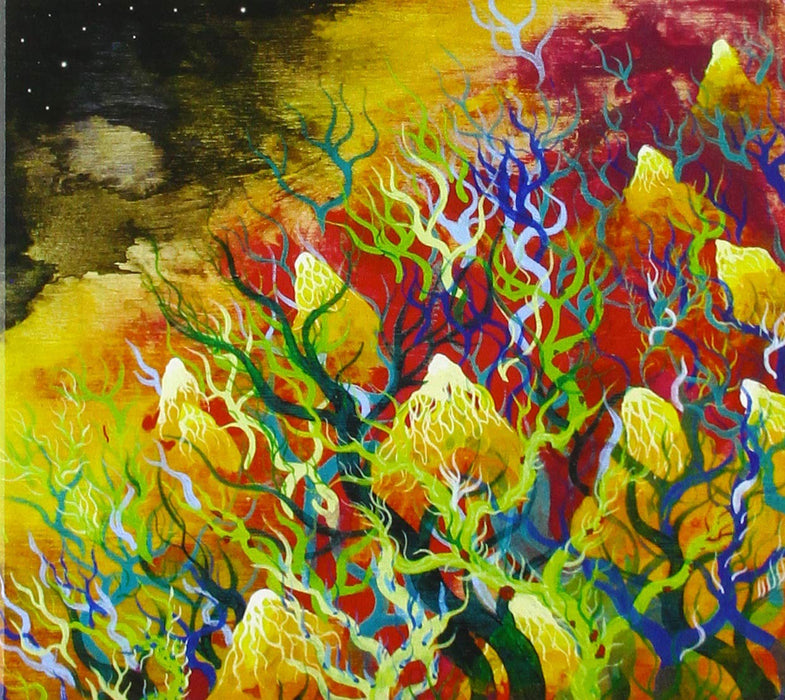 Ponzio Pilates - Sukate