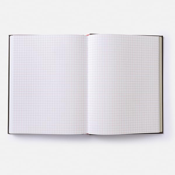 The Player's Campaign Journal (Dungeons & Dragons