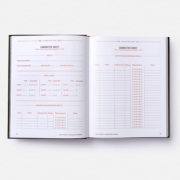 The Player's Campaign Journal (Dungeons & Dragons
