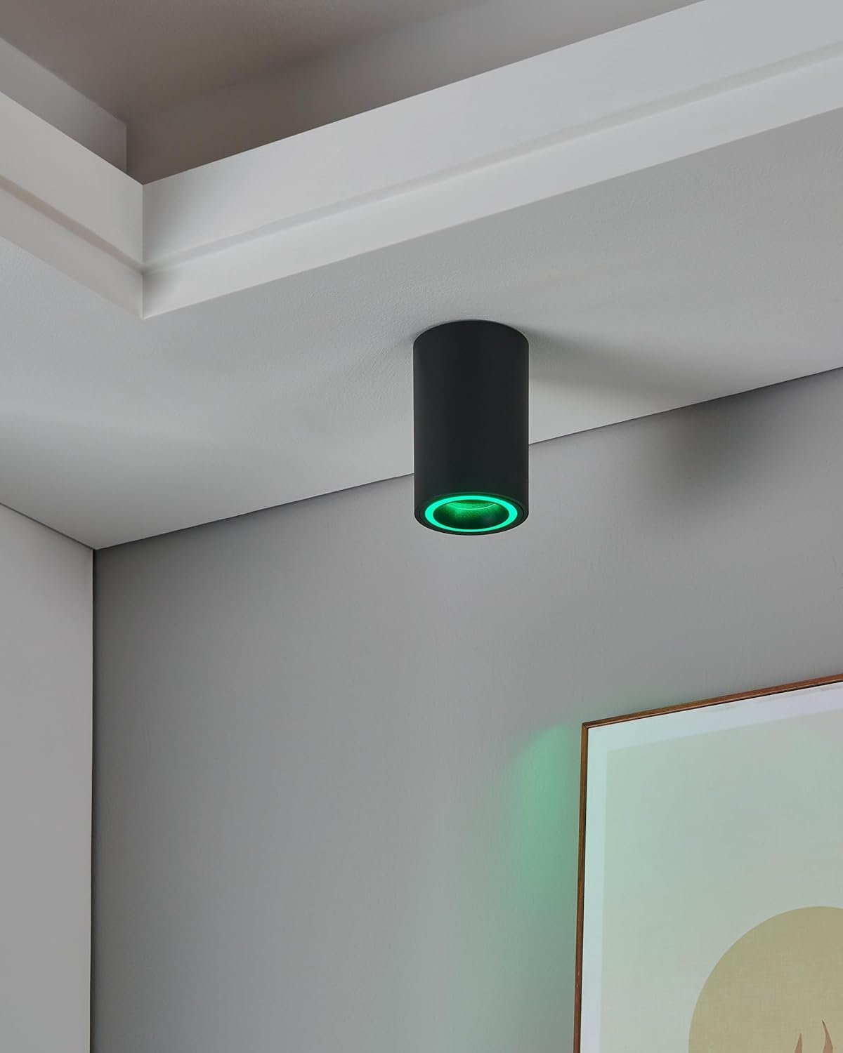 Eglo - Carossa-Z Smart Extension Pendant – Black +8 – Rgb + White – Zigbee & Bluetooth