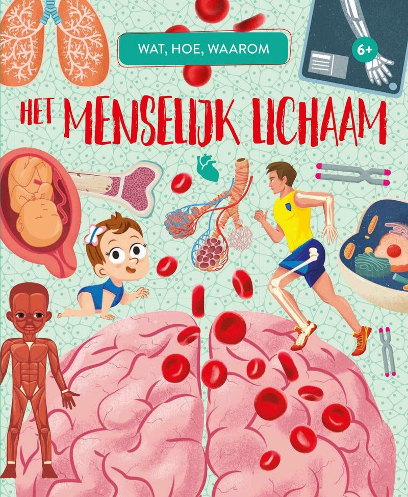 Rebo Publishers - Het Menselijk Lichaam - Wat Hoe Waarom