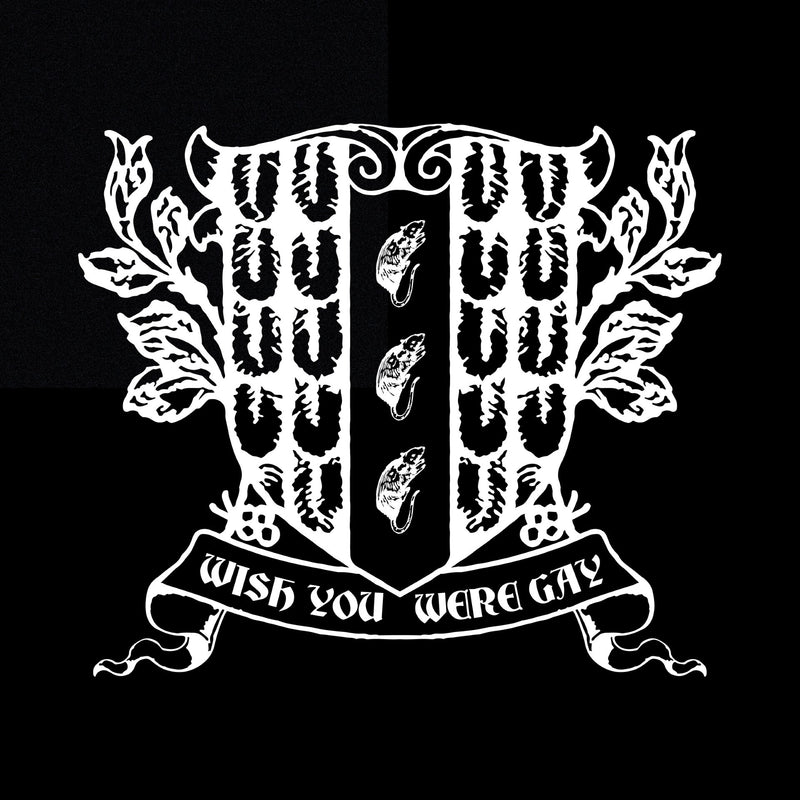 Wish You Were Gay